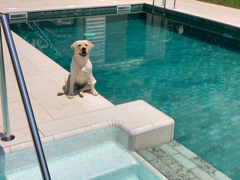 Véritable pierre de Bali pour terrasse et piscine